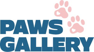 Paws Gallery